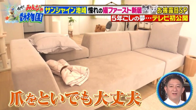 サンシャイン池崎の家の間取り！新居の場所は渋谷で家賃は20万越え？